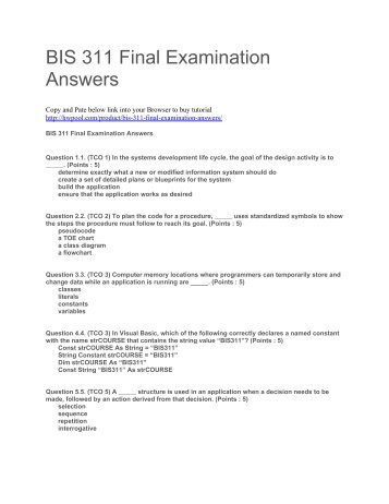 BIS 311 Final Examination Answers