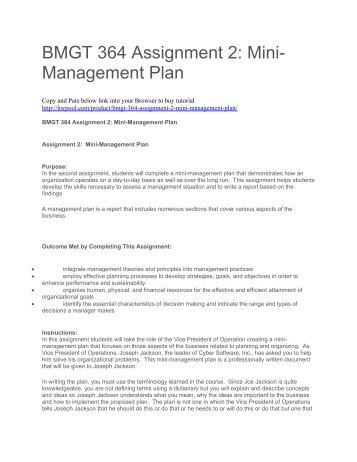 BMGT 364 Assignment 2 Mini-Management Plan