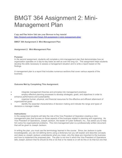 BMGT 364 Assignment 2 Mini-Management Plan