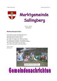 (10,90 MB) - .PDF - Marktgemeinde Sallingberg