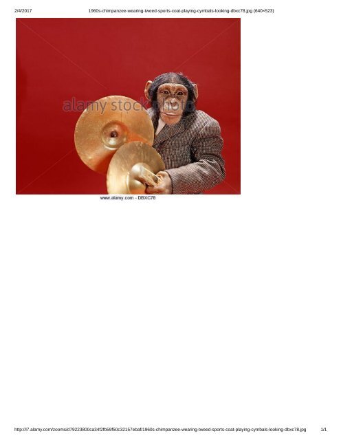 1960s-chimpanzee-wearing-tweed-sports-coat-playing-cymbals-looking-dbxc78.jpg (640×523)