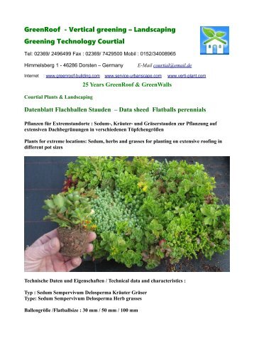 Datenblatt Data sheet Sedum Flachballen Stauden Flatballs perennials