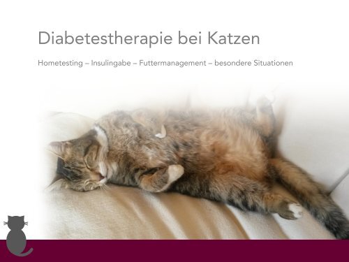 Diabetestherapie bei Katzen