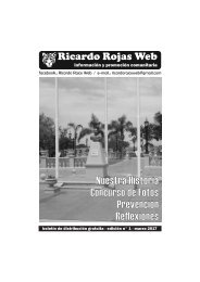 Ricardo Rojas WEB