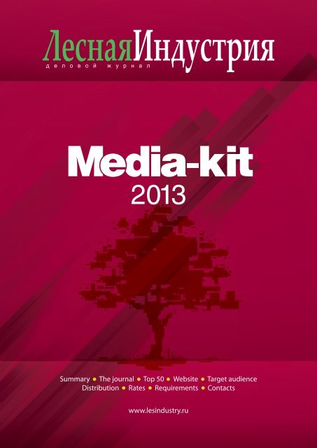 Media-Kit LI 2013