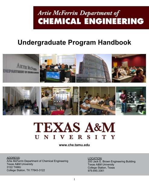 Undergraduate Program Handbook - Department of Chemical ...