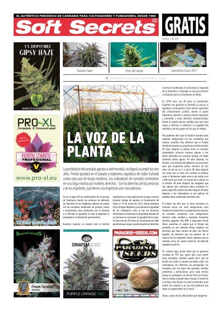 Semillas de Marihuana legales en Argentina - El Alquimista Grow