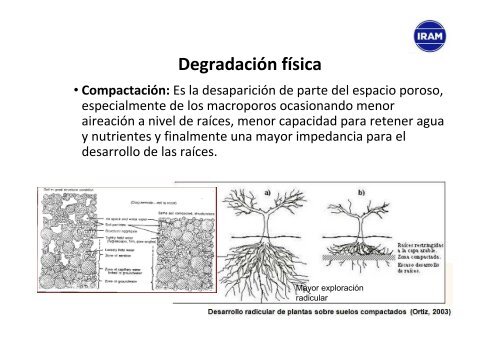 Degradacion suelos