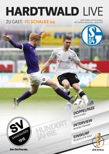 Hardtwald Live, Nr. 11, DFB-Pokal 16/17, SVS - FC Schalke 04