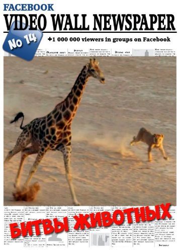 Video wall newspaper for Facebook №14 RU