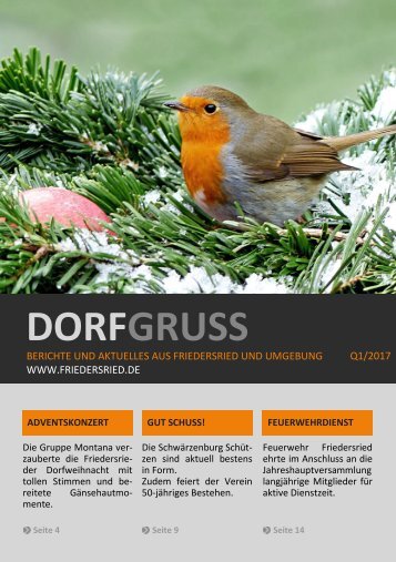 2017-Q1_DORFGRUSS_online