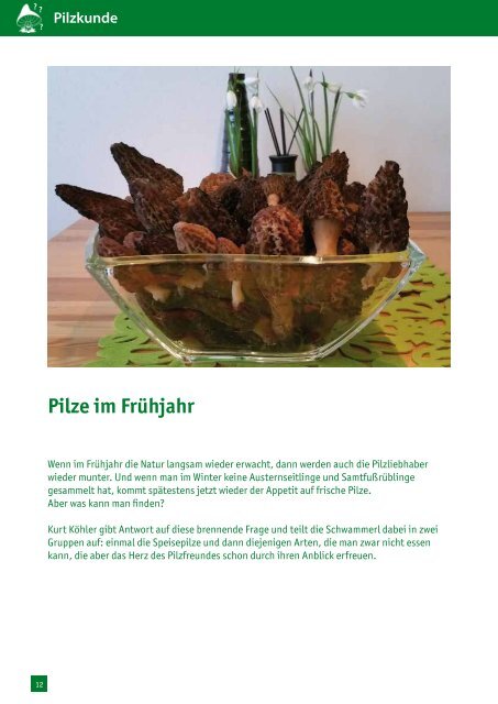 Der Pilzfreund - Ausgabe 4