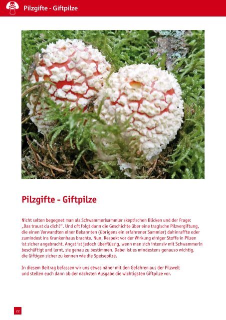 Der Pilzfreund - Ausgabe 4