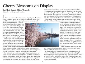 2 pages created from InDesign Trial
