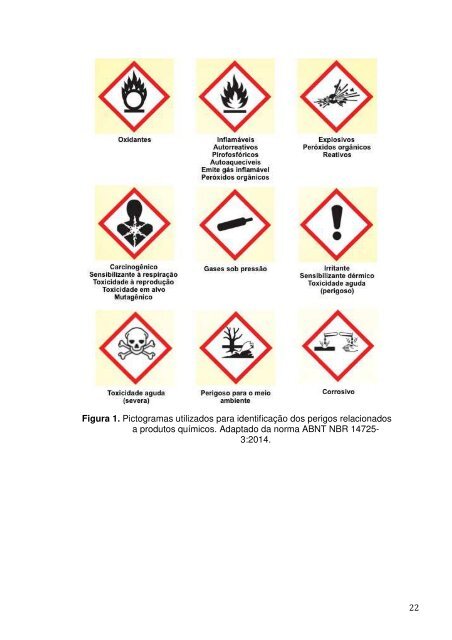 Manual de Boas Praticas e Seguranca em Laboratorios 