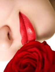 CP Lips Rose.jpg