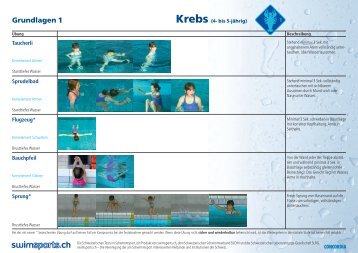 Das Kernmodell «Schwimmen - Swimsports.ch