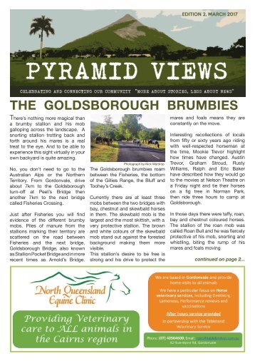 PYRAMID VIEWS MARCH 2017