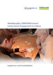 Modellprojekt „LEBENSNAH lernen“ Lernen durch Engagement in ...