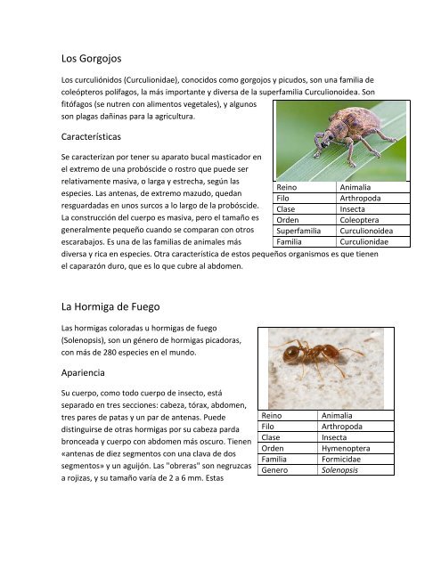 Entomología