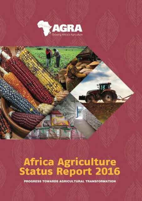 AFRICA AGRICULTURE STATUS REPORT 2016