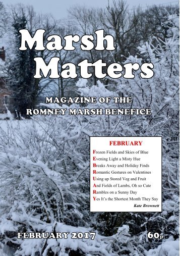 Marsh Matters Mag February 2017 - Copy