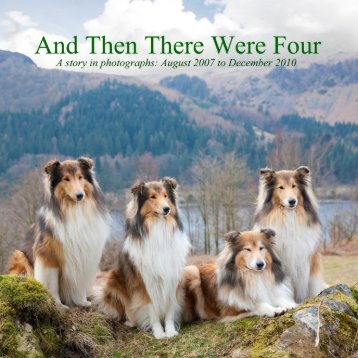 And Then There Were Four: Fiorcara Book 2