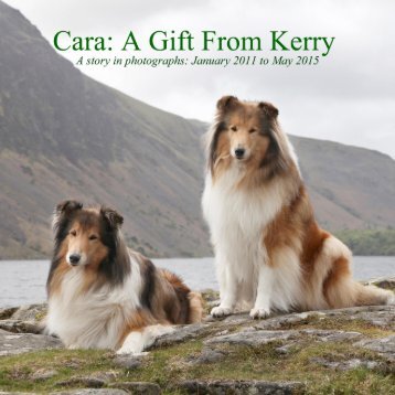 Cara A Gift from Kerry: Fiorcara Book 3