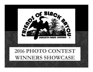 2016 Photo Contest Winners