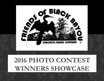 2016 Photo Contest Winners