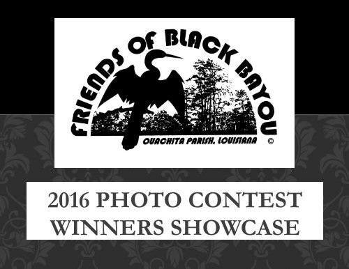 2016 Photo Contest Winners