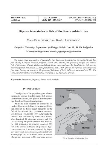 Digenea trematodes in fish of the North Adriatic Sea