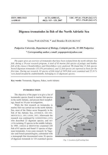 Digenea trematodes in fish of the North Adriatic Sea