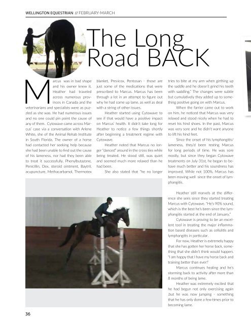 Wellington Equestrian cover Feb - March 