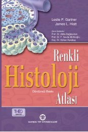 Renkli Histoloji Atlası