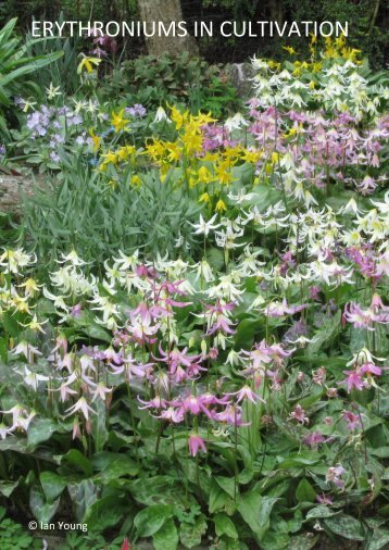 ERYTHRONIUMS IN CULTIVATION