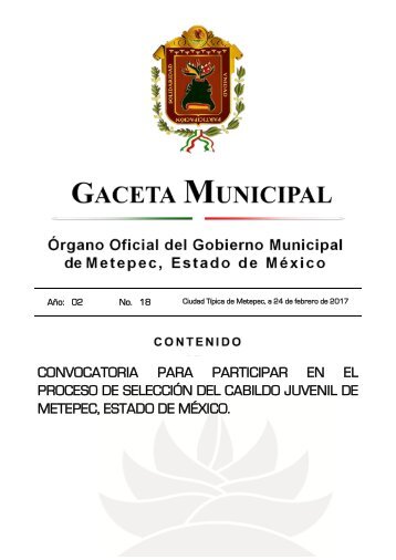 PROCESO DE SELECCIÓN DEL CABILDO JUVENIL DE METEPEC ESTADO DE MÉXICO