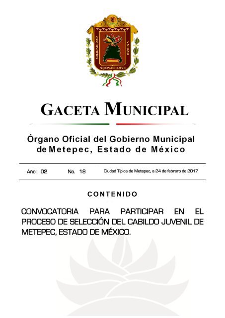 PROCESO DE SELECCIÓN DEL CABILDO JUVENIL DE METEPEC ESTADO DE MÉXICO