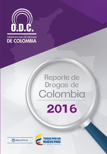 ODC0100322016_reporte_drogas_colombia_2016