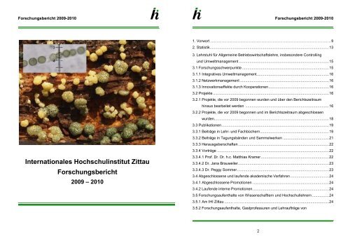 Internationales Hochschulinstitut Zittau Forschungsbericht - IHI Zittau