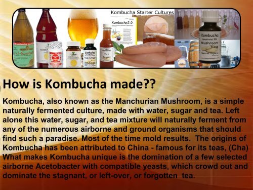 Know about History of Kombucha at Happy Herbalist