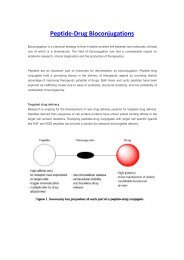 Peptide-drug conjugations