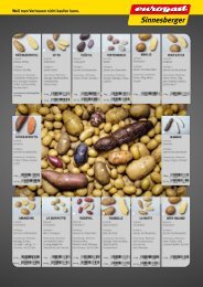 Folder Zwiebel & Kartoffel