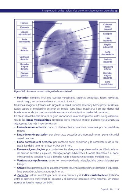 Manual de protocolos y actuación en