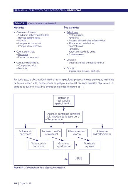 Manual de protocolos y actuación en