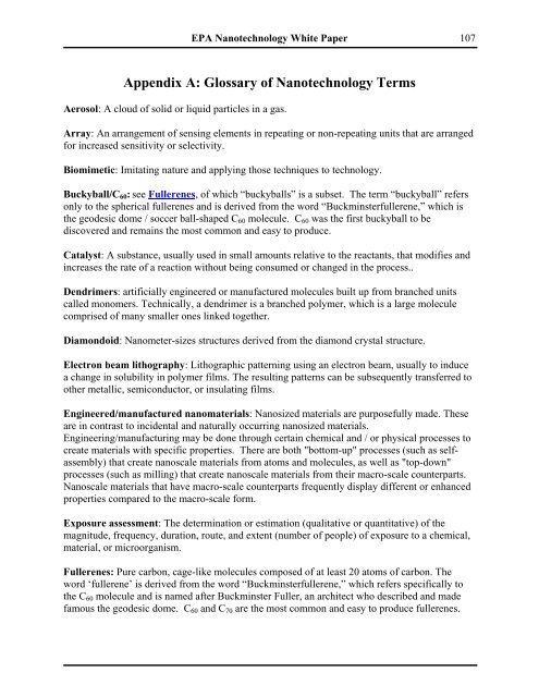 Nanotechnology White Paper - US Environmental Protection Agency