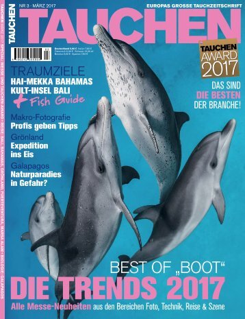 Tauchen  Mrz 2017  - Kopie