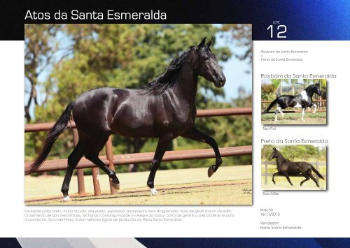 Catalogo Marcha News - VI Santa Esmeralda