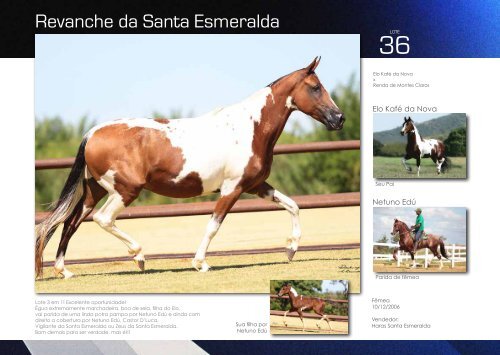 Catalogo Marcha News - VI Santa Esmeralda