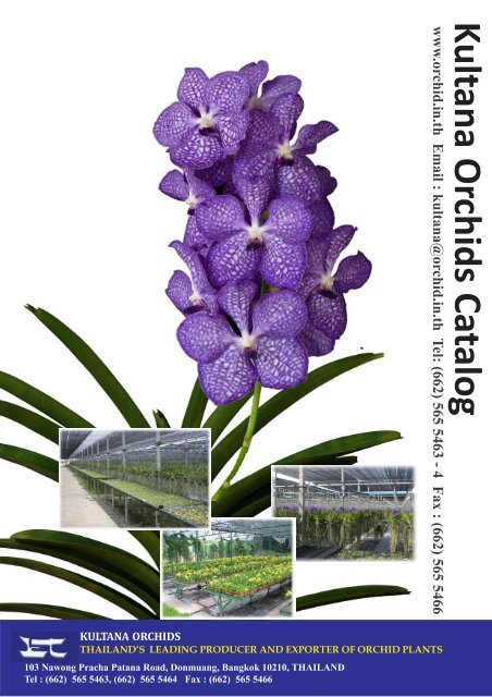 pdf file (1.25 Mbs) - Kultana Orchids